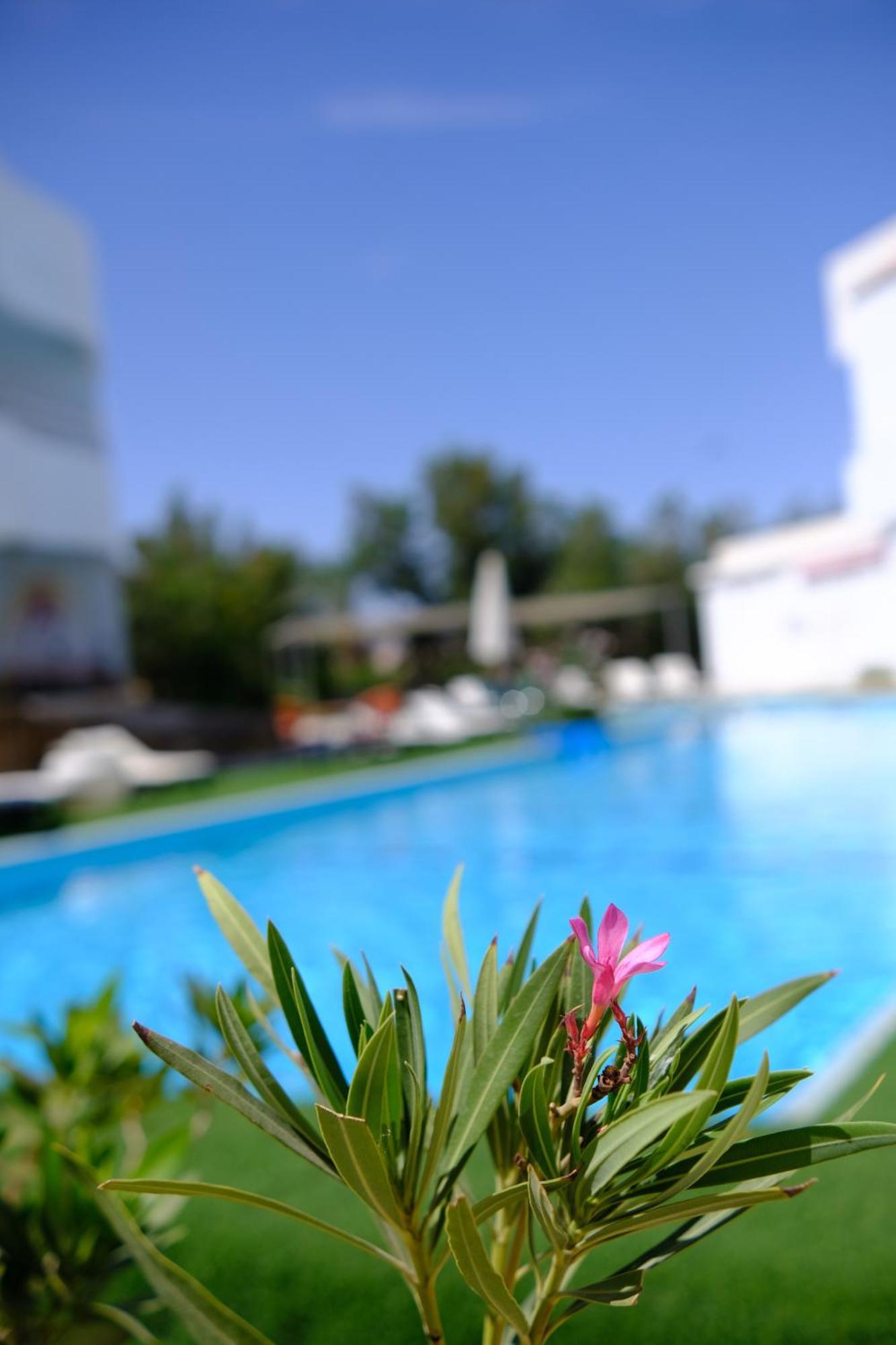 Viking Club Hotel Sharm el-Sheikh Eksteriør billede